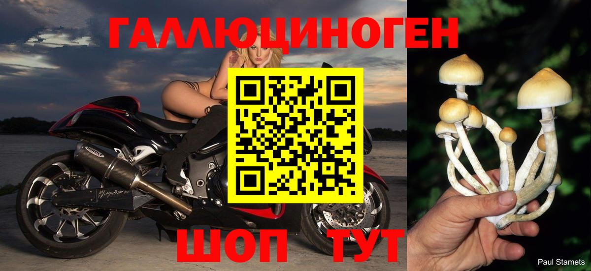 Галлюциногенные грибы Cubensis Балашов