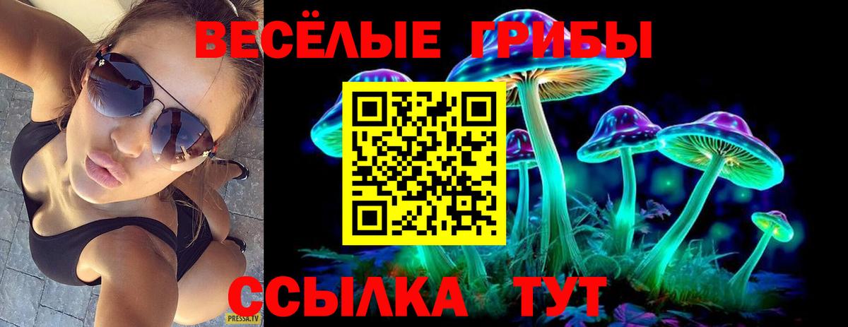 Псилоцибиновые грибы мицелий  Галлюциногенные грибы GOLDEN TEACHER  Вход с VPN  Балашов 